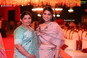 Wedding Reception of Nipun and Shriya