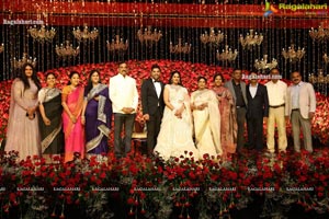 Wedding Reception of Nipun and Shriya