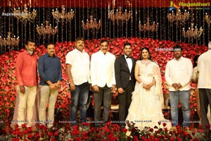 Wedding Reception of Nipun and Shriya