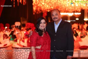 Wedding Reception of Nipun and Shriya