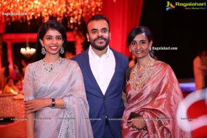 Wedding Reception of Nipun and Shriya