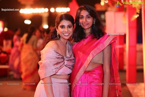 Wedding Reception of Nipun and Shriya