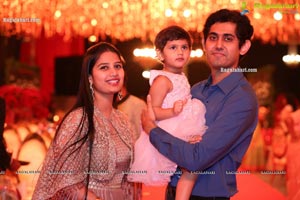 Wedding Reception of Nipun and Shriya