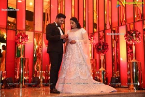 Wedding Reception of Nipun and Shriya