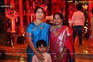 Wedding Reception of Nipun and Shriya