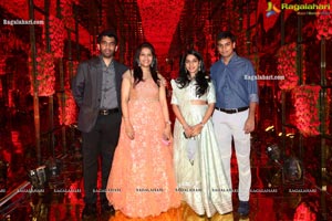 Wedding Reception of Nipun and Shriya