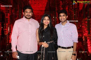 Wedding Reception of Nipun and Shriya