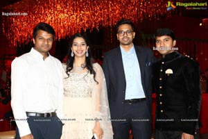 Wedding Reception of Nipun and Shriya