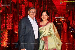 Wedding Reception of Nipun and Shriya