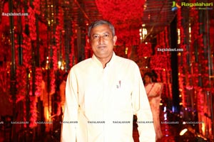 Wedding Reception of Nipun and Shriya