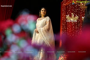 Wedding Reception of Nipun and Shriya