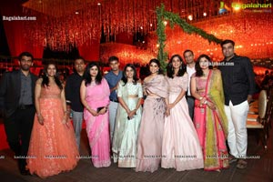 Wedding Reception of Nipun and Shriya