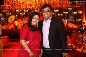 Wedding Reception of Nipun and Shriya