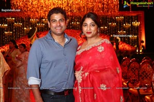 Wedding Reception of Nipun and Shriya