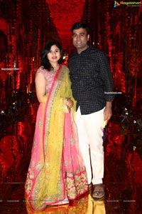 Wedding Reception of Nipun and Shriya