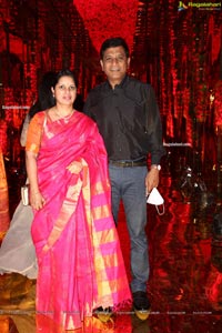 Wedding Reception of Nipun and Shriya