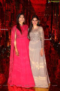 Wedding Reception of Nipun and Shriya