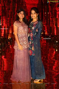 Wedding Reception of Nipun and Shriya