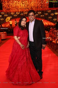 Wedding Reception of Nipun and Shriya