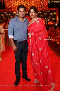 Wedding Reception of Nipun and Shriya