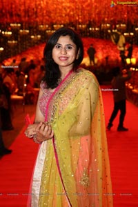 Wedding Reception of Nipun and Shriya