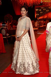 Wedding Reception of Nipun and Shriya