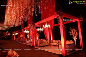 Wedding Reception of Nipun and Shriya