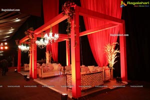 Wedding Reception of Nipun and Shriya