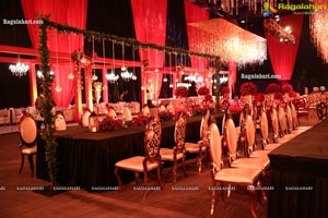 Wedding Reception of Nipun and Shriya