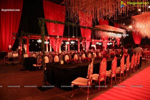 Wedding Reception of Nipun and Shriya