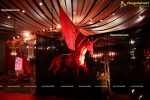 Wedding Reception of Nipun and Shriya