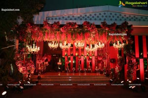 Wedding Reception of Nipun and Shriya