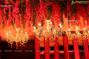 Wedding Reception of Nipun and Shriya