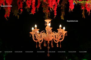 Wedding Reception of Nipun and Shriya