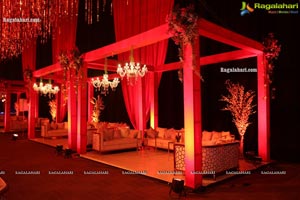 Wedding Reception of Nipun and Shriya