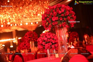 Wedding Reception of Nipun and Shriya