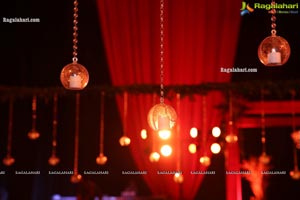 Wedding Reception of Nipun and Shriya