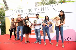 Petzo App, Everything for Pets