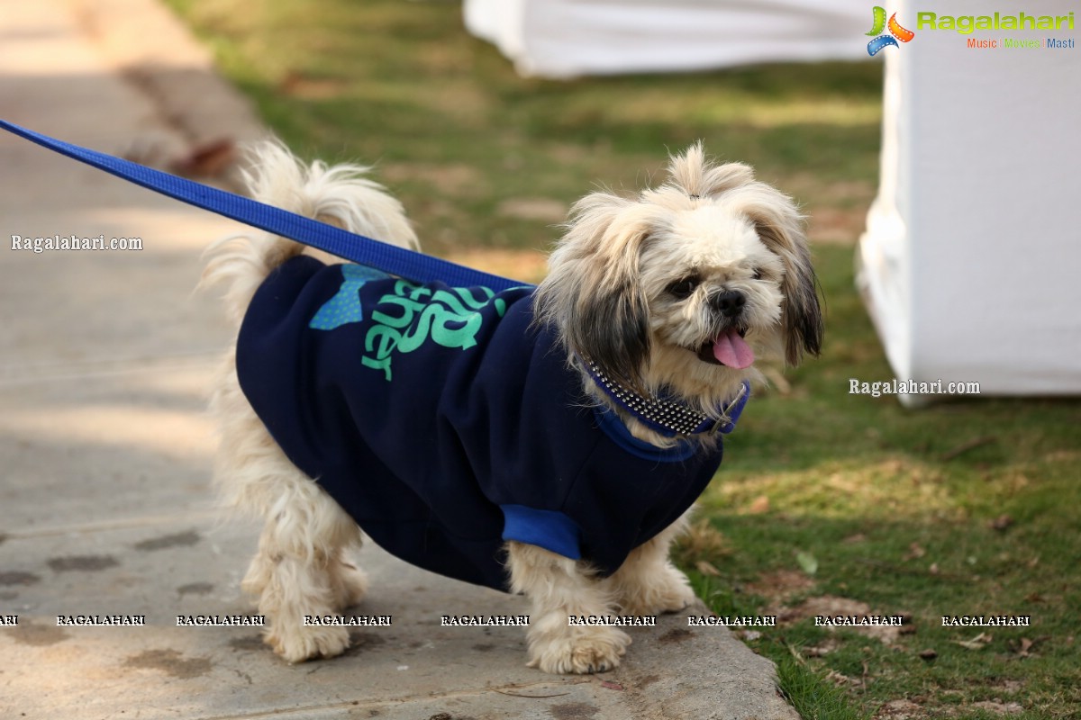 Petzo, App dedicated to pets launched by Navdeep
