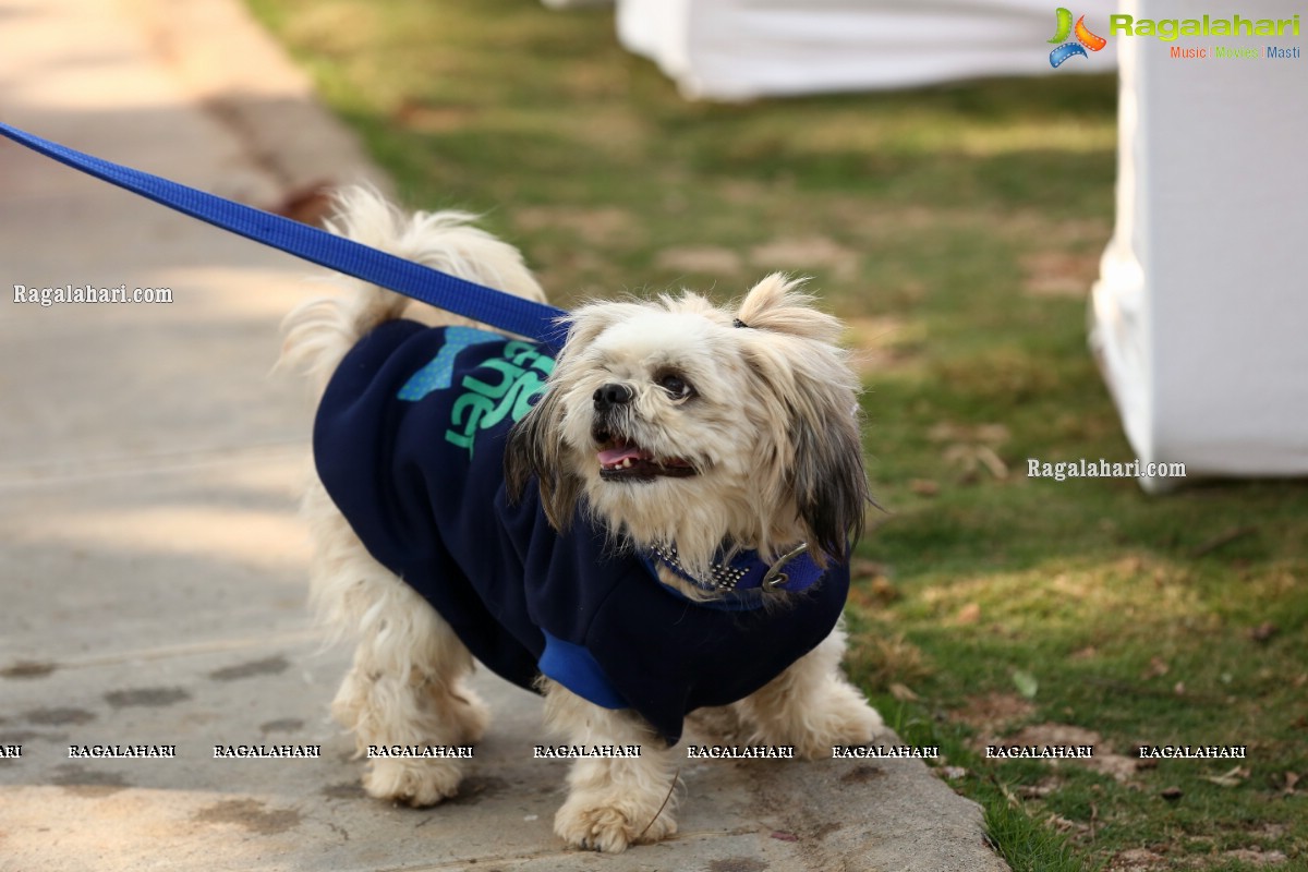 Petzo, App dedicated to pets launched by Navdeep