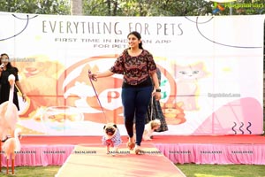 Petzo App, Everything for Pets