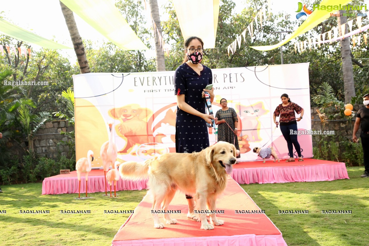 Petzo, App dedicated to pets launched by Navdeep