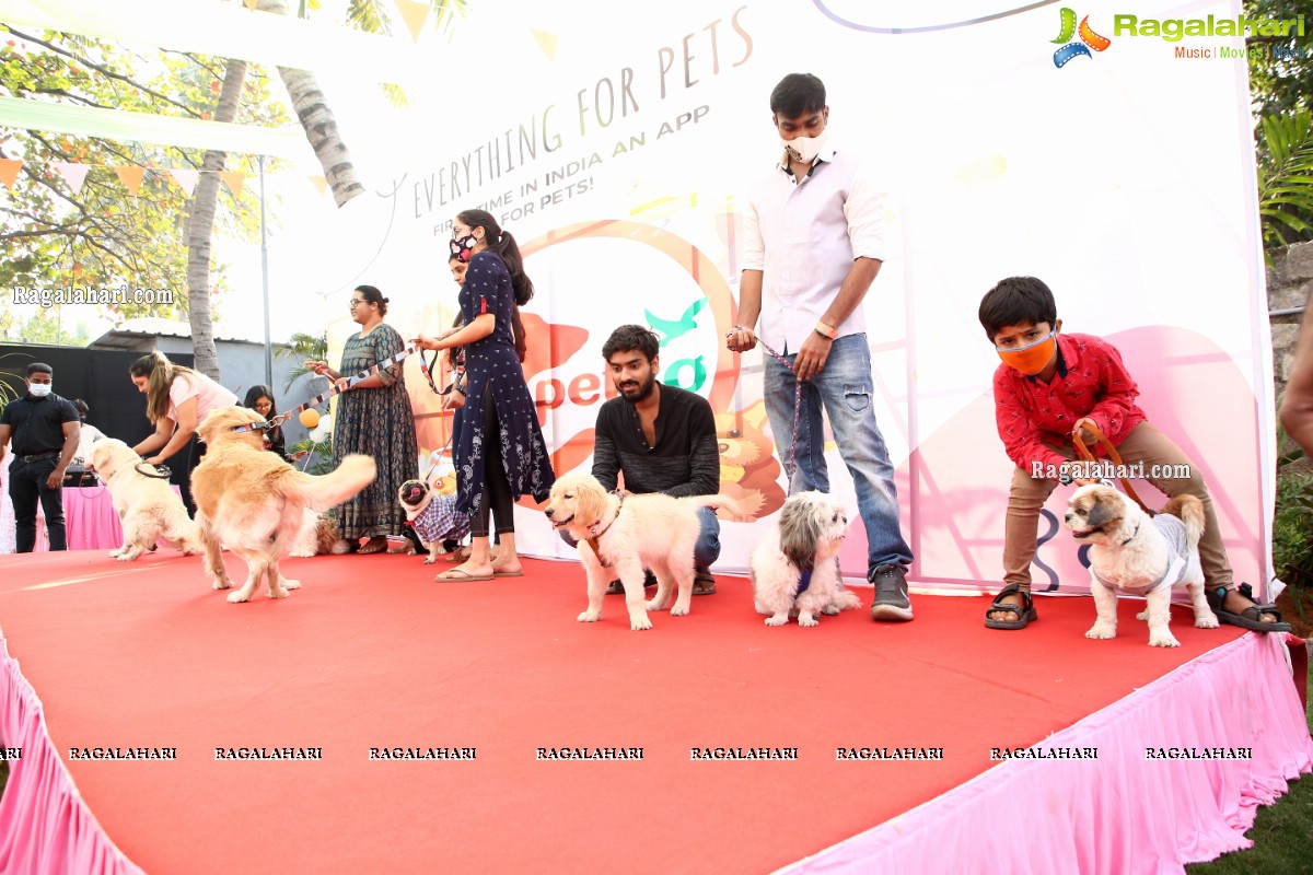 Petzo, App dedicated to pets launched by Navdeep