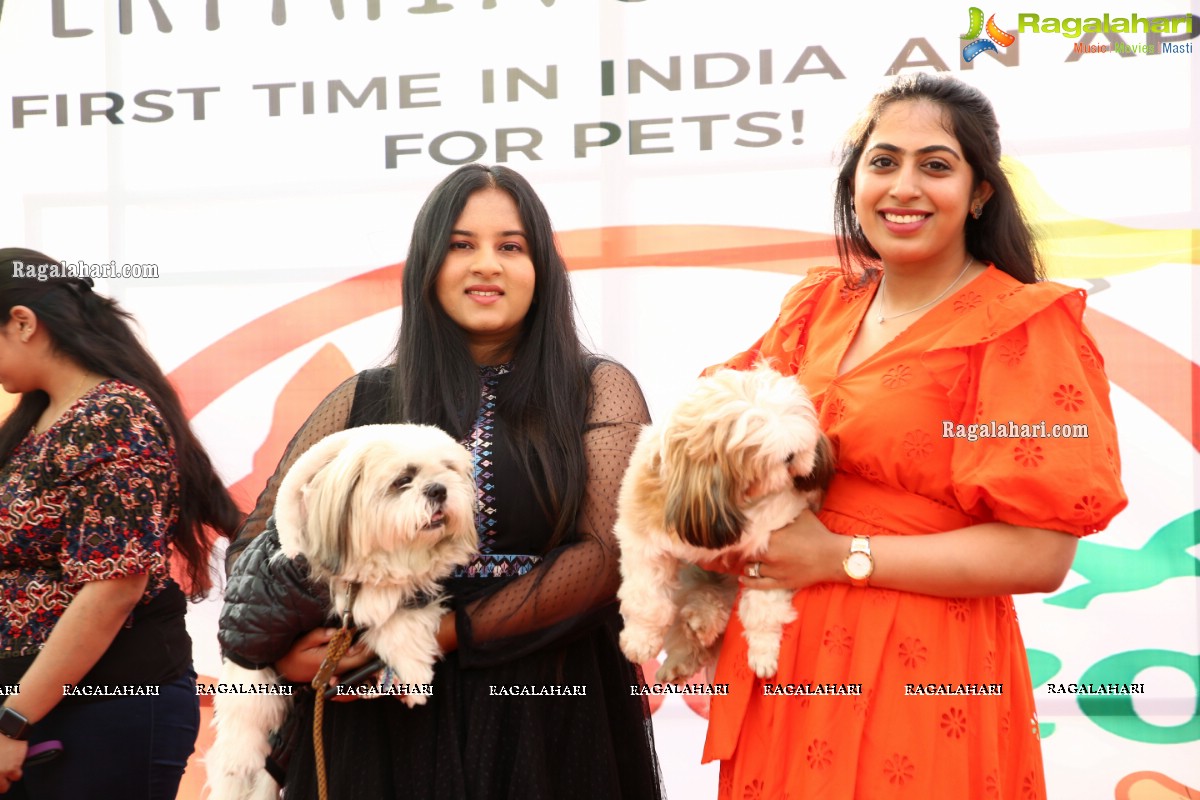 Petzo, App dedicated to pets launched by Navdeep