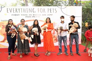 Petzo App, Everything for Pets