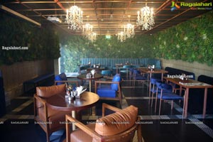 POSHNOSH Lounge & Bar Pre-Launch