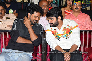 Arjuna Phalguna Movie Pre-Release Event