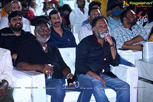 Pushpa Movie Pre-Release Event