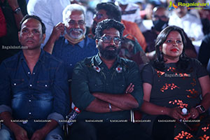 Pushpa Movie Pre-Release Event