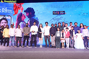 Gurthunda Seethakalam Movie Pre-Release Event